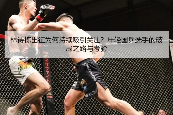 林诗栋出征为何持续吸引关注？年轻国乒选手的破局之路与考验